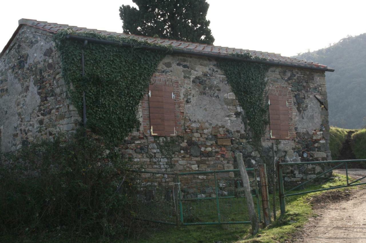 Farmhouse Tuscany Montecastelli Pisano Eksteriør billede