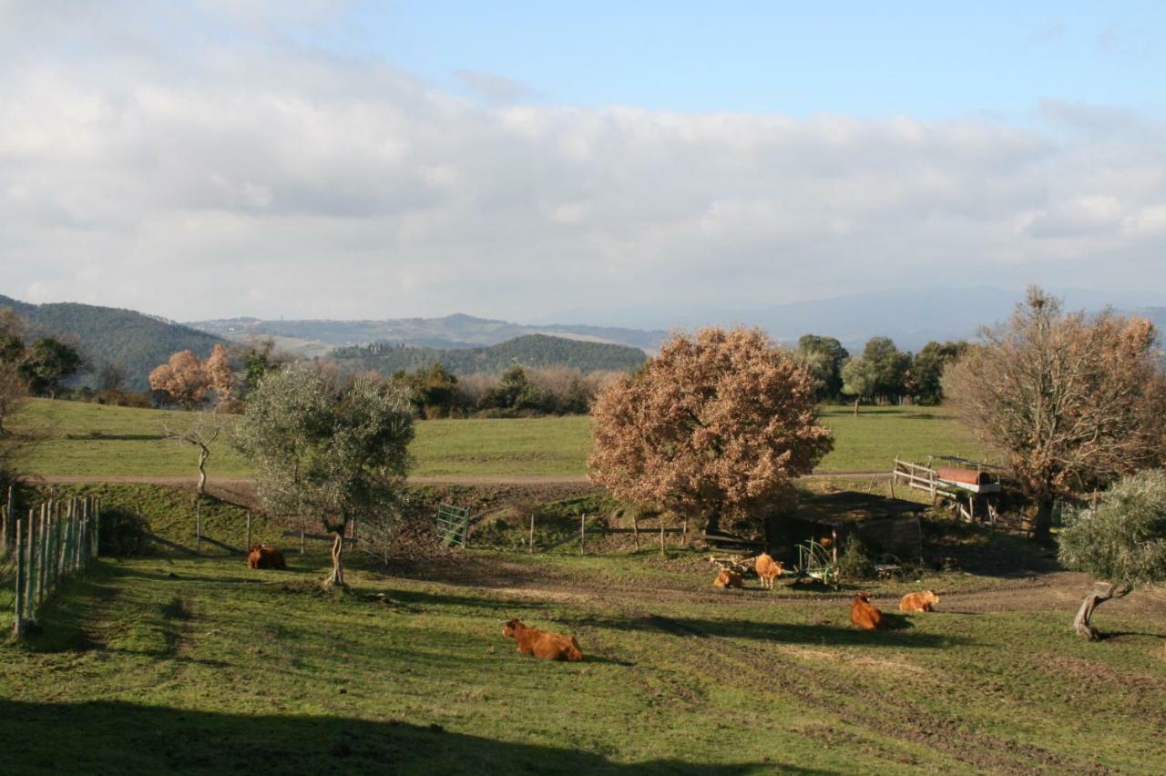 Farmhouse Tuscany Montecastelli Pisano Eksteriør billede