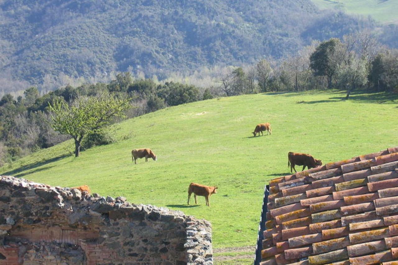 Farmhouse Tuscany Montecastelli Pisano Eksteriør billede